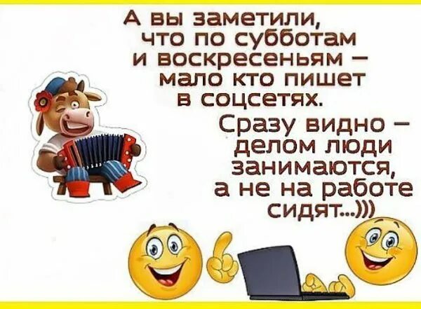 Заметьте что на каждую из