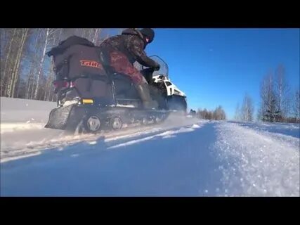 Видео тайги варяг