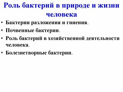 Роль бактерий в жизни человека 5