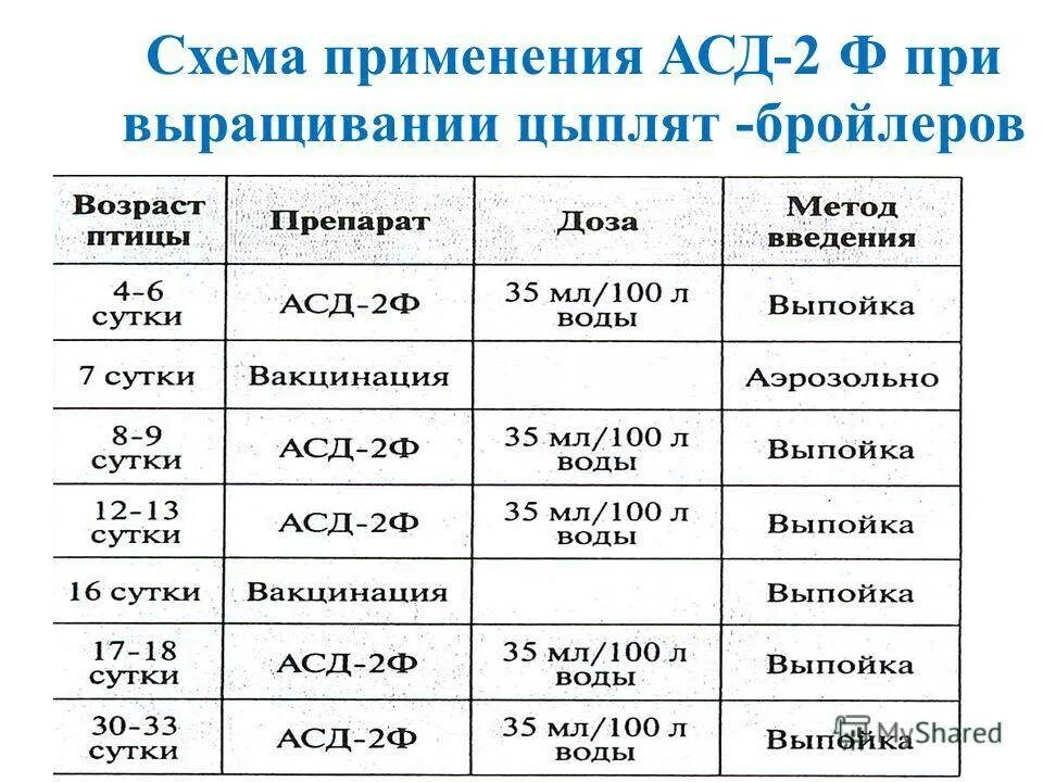 Полярки с первого дня. График пропойки бройлеров с первых дней жизни. Таблица пропойки бройлеров с 1 дня. Схема вакцинации бройлера таблица. Таблица схема пропойки цыплят АСД 2.