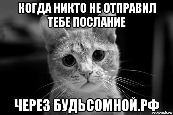 Бы не отправлялась она. Демотиваторы лицо. Бы не отправлялась она. И поехала она за ним в сибирь. Бы не отправлялась она.