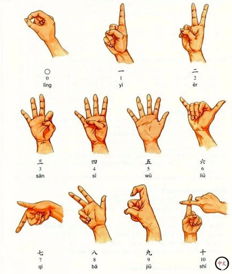Как будет по китайскому рука. Жестовое изображение цифр в Китае. Китайские цифры жестами. Числа жестами на китайском. Цифры на пальцах.