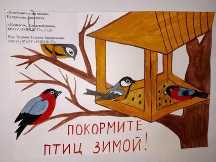 Стенгазета на тему как помочь птицам зимой