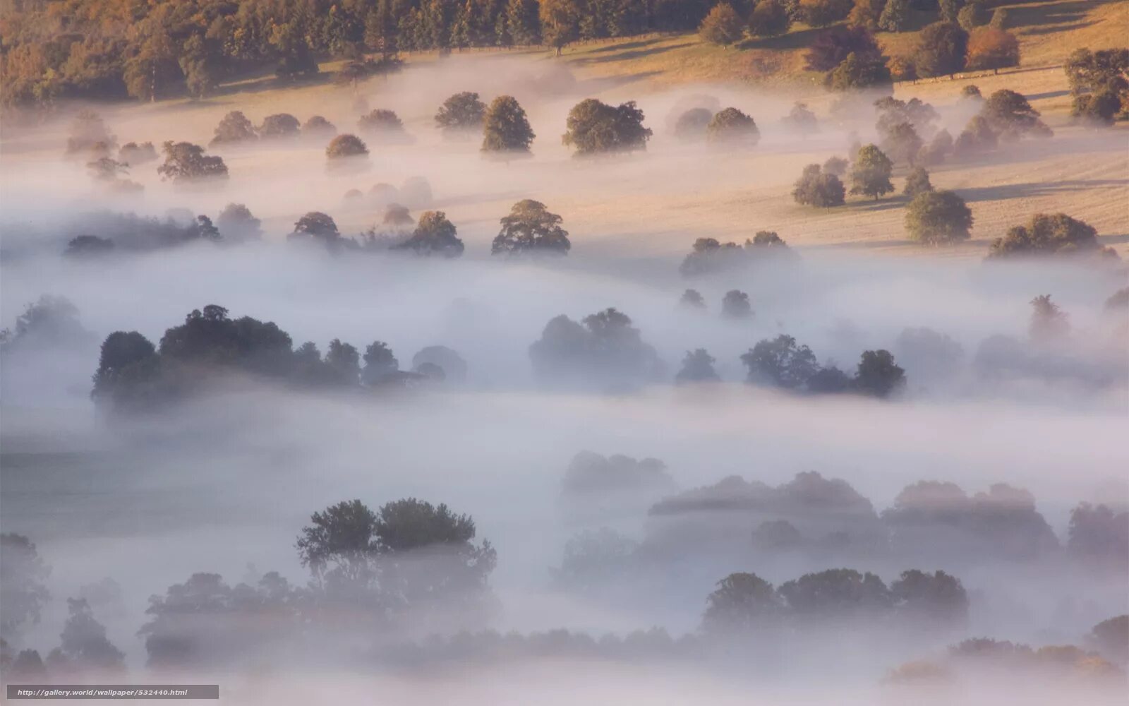 Туманный лес таганай. Индекс ганнинга. Национальный парк нууксио финляндия. Природа туман. Озеро туман кондинский район.