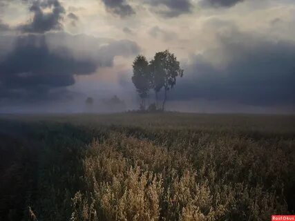 Хмурое утро
