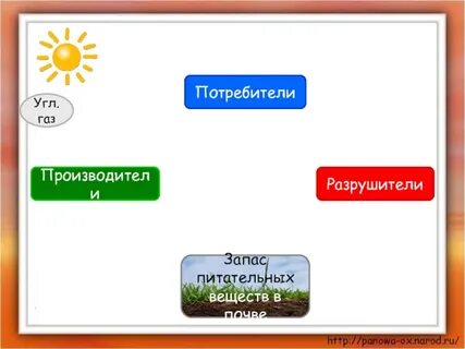 Круговорот жизни 3 класс окружающий мир презентация