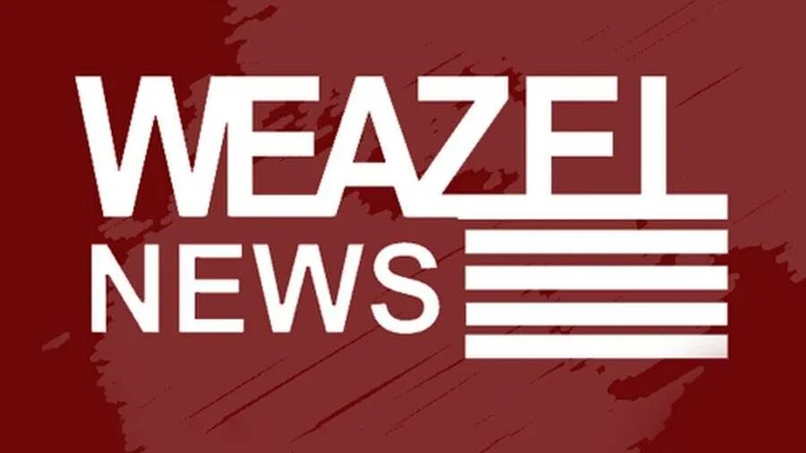 Weazel news гта 5 рп. Weazel news gta 5. Картинка weazel news. Значок weazel news. Фон weazel news.