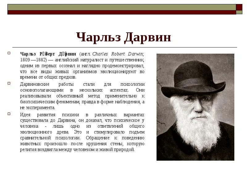 Грин д. Дарвин психология. Дарвин психология. Дарвин психология. Дарвин психология.