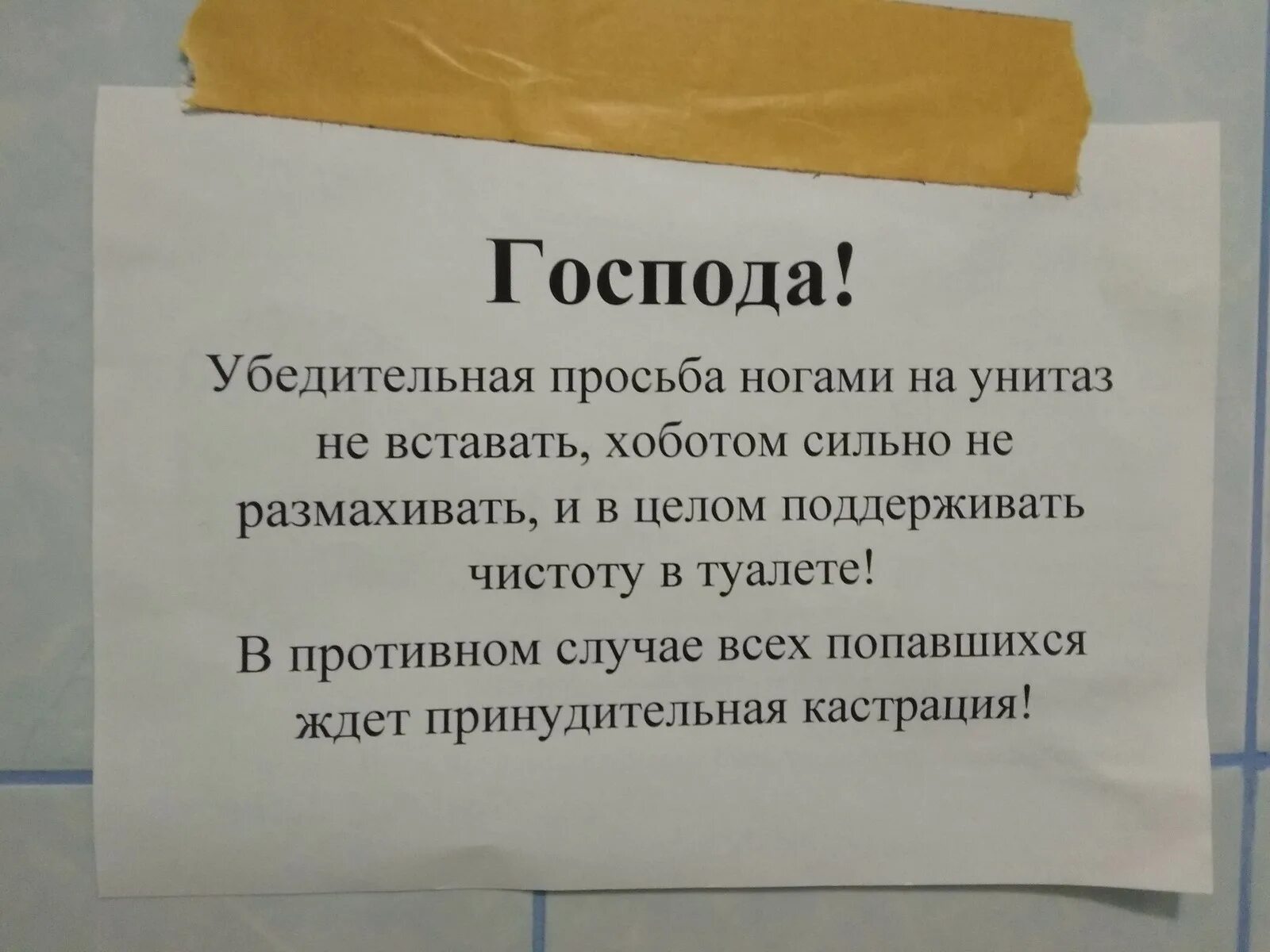 Объявление о чистоте в туалете. Объявления в туалете о соблюдении чистоты. Соблюдайте чистоту в туалете объявления. Просьбы в туалетах.