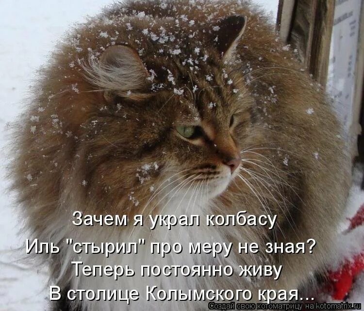 Где нет ни снега ни дождя