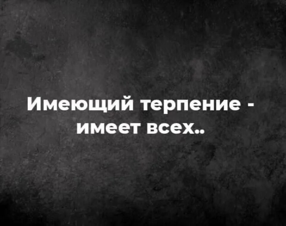 Имеющий терпение. Имеющий терпение имеет. Имеющий терпение имеет всех картинка. Имея терпение имеешь всех. Нужный терпеливо