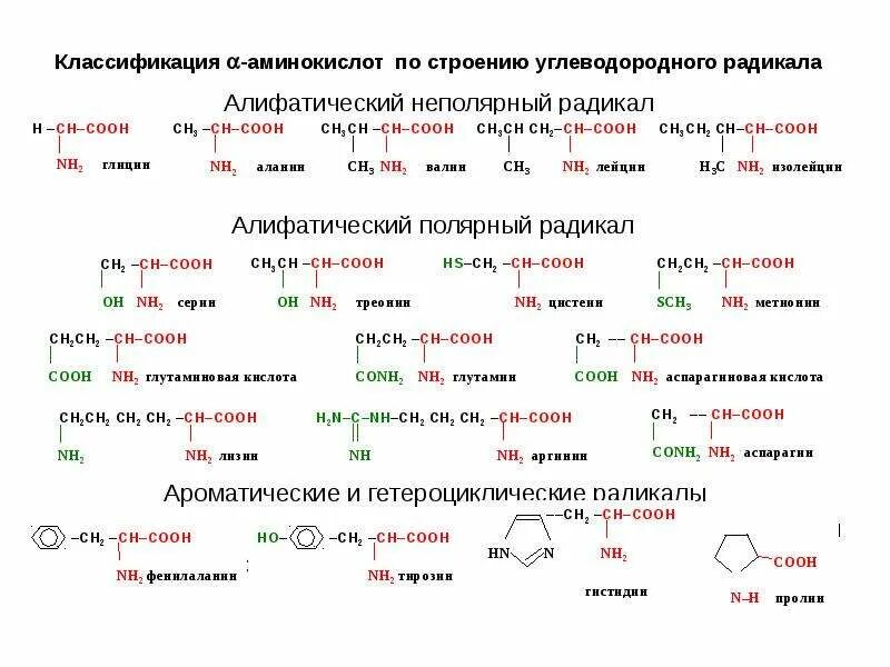 Аминокислотные радикалы. Ароматическая неполярная аминокислота. Классификация аминокислот алифатические ароматические. Классификация Альфа аминокислот по радикалу. 20 Альфа аминокислот классификация.