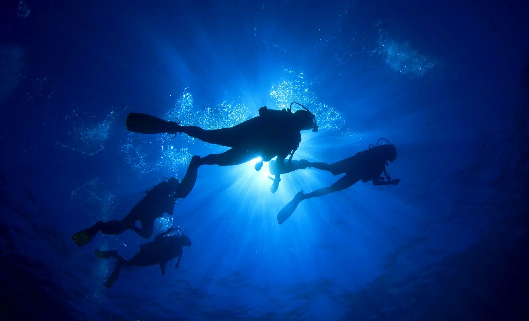 Dive want