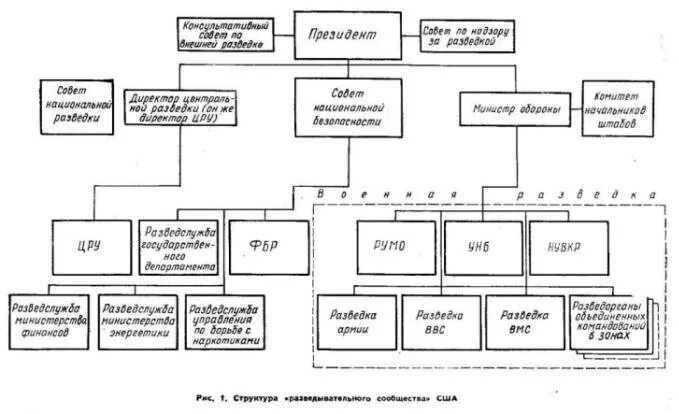 Схема структуры фбр(fbi). Иерархия фбр сша. Структура фбр. Должности в фбр сша. Основные подразделения фбр.