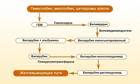 Билирубин при циррозе