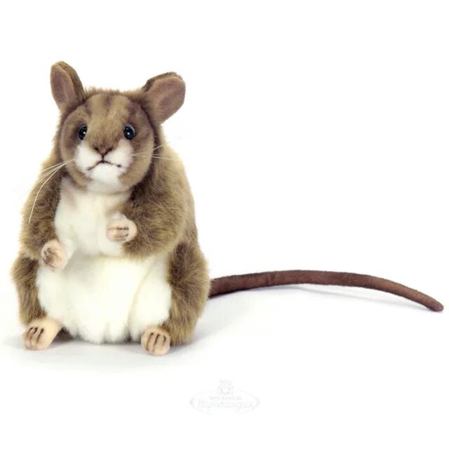16 мышей. Белая мышь 16 см Hansa. Мягкая игрушка Hansa белая мышь 16 см. Hansa Creation мышь, 78 см. Мягкая игрушка Ханса мышь.