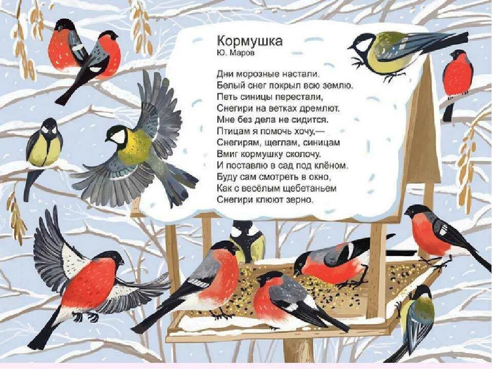 На обед слетелись синички и снегири. Стихи про зимующих птиц для детей. Стихи про птиц зимой для детей. Стихи про зимующих птиц. Стишки про птиц для малышей.
