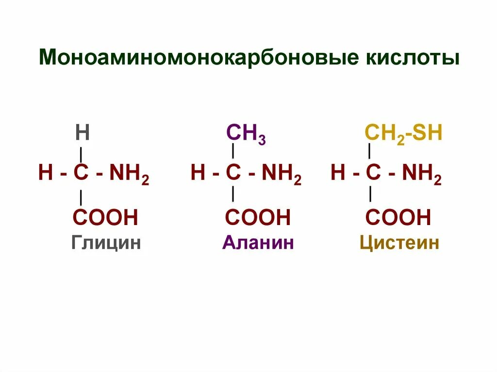 Диаминомонокарбоновые кислоты. Моноаминомонокарбоновые аминокислоты. Формула моноаминодикарбоновой кислоты. Нейтральные (моноаминомонокарбоновые кислоты.