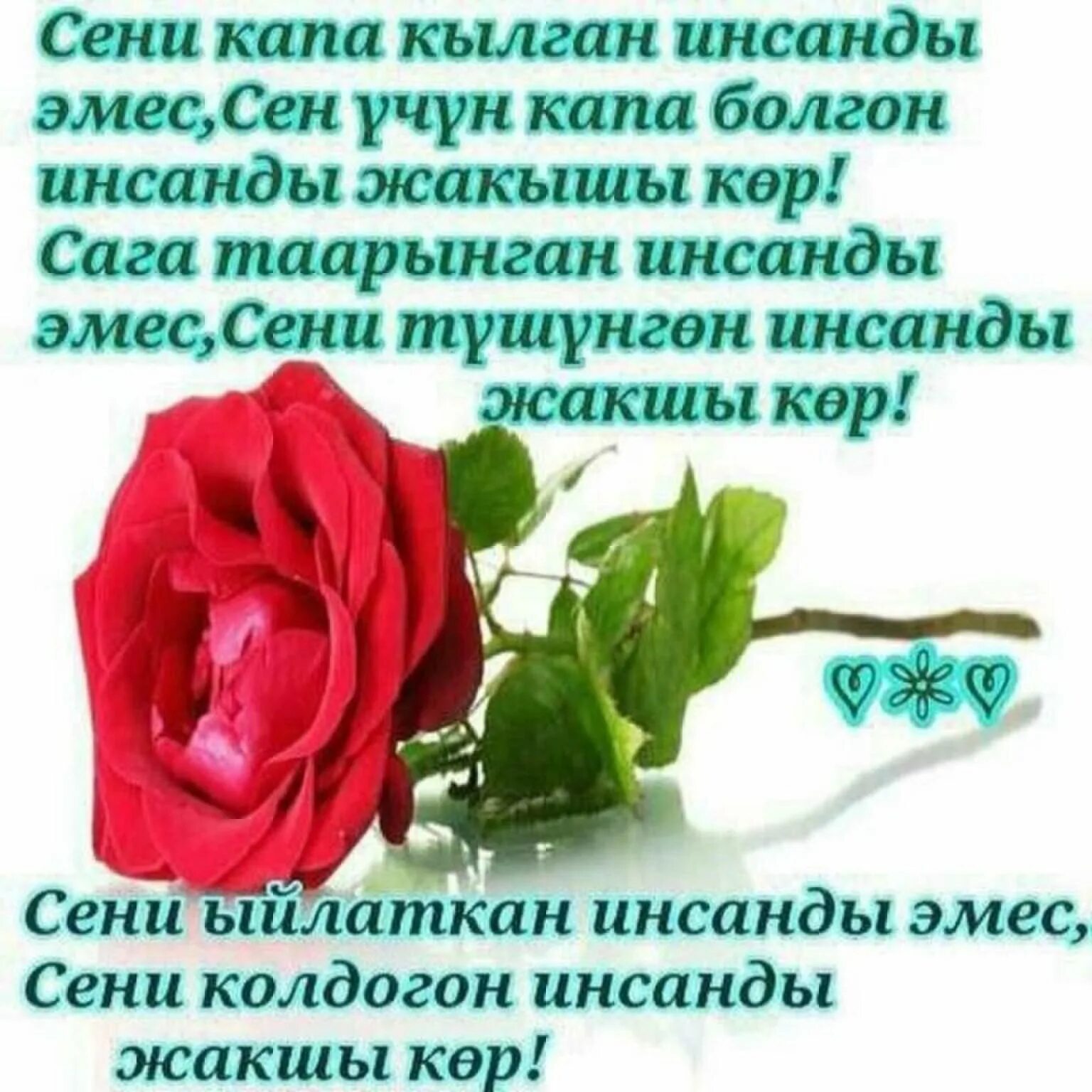 Сени жакшы кором. Мен сени суйом жаным. Севги шерлар. Мен сизди суйом лирика. Сени суйом лирика.