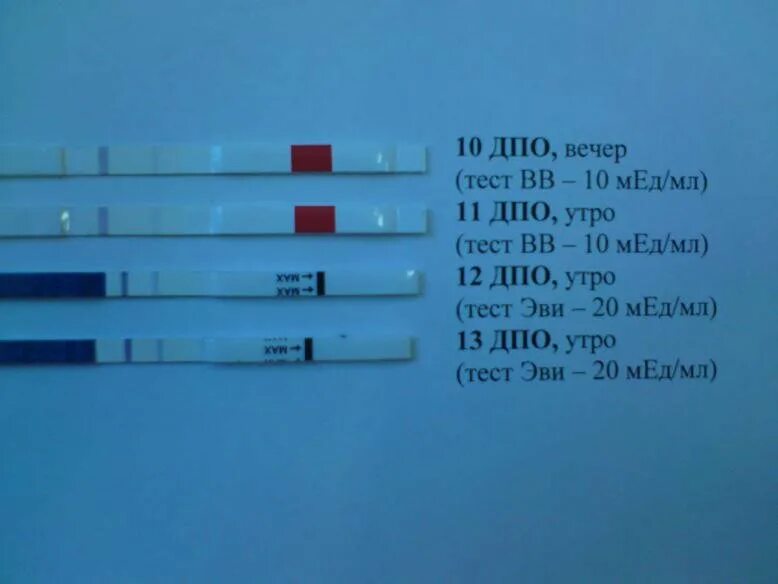 Положительный тест на беременность на 11 день после овуляции. 11 День после ДПО тест. Тест на беременность ДПО 10 ДПО. 10 ДПО тест отрицательный а 11 ДПО положительный. Тесты на беременность после овуляции форум