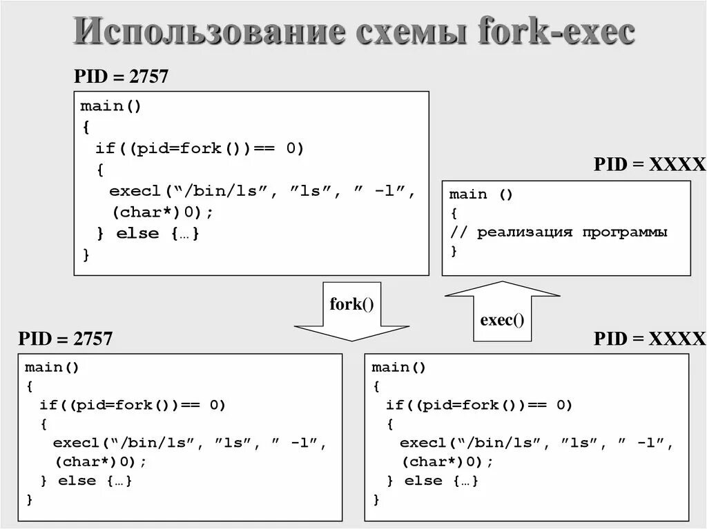 Exec main. Fork процессы. Fork программа. Fork exec. Как создать процесс форк.