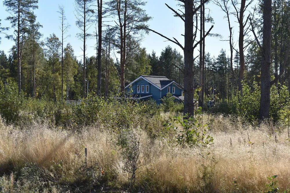 Купить участок ленинградская область выборгский