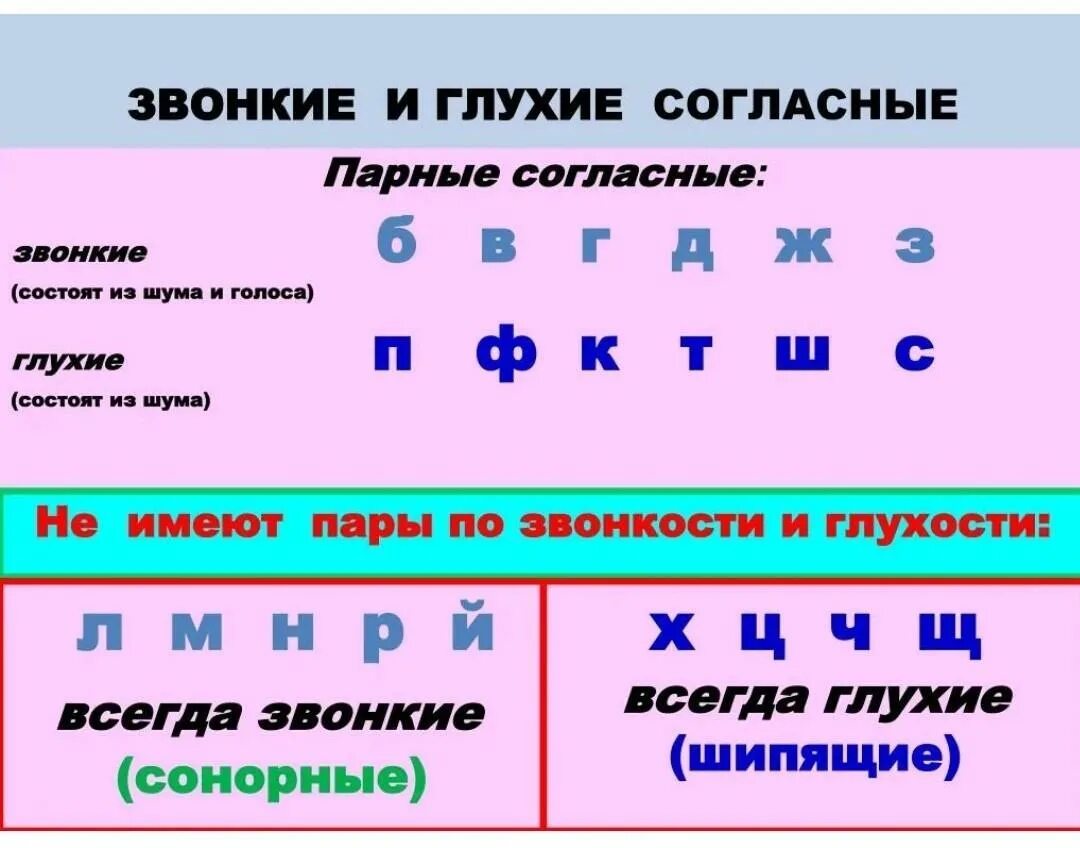 Какие бывают звонкие