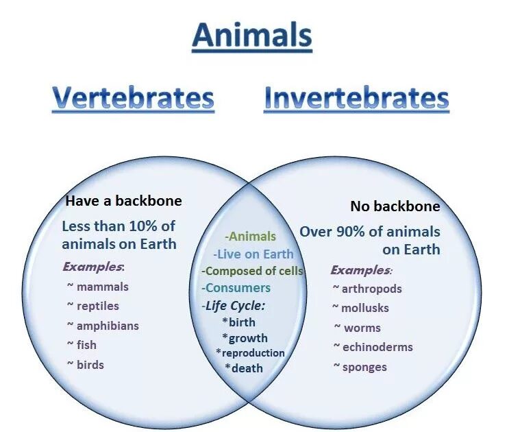 To have no backbone