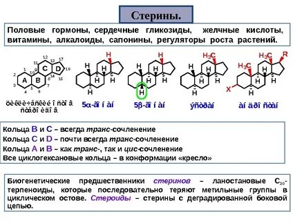 Стерины