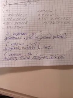 Слова с корнем тигр