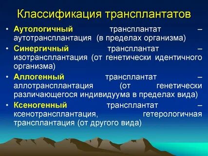 Трансплантат