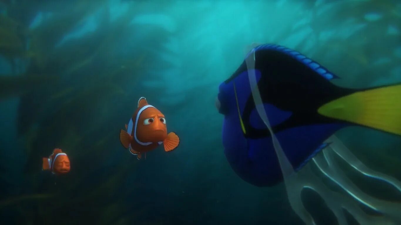 Finding Dory 2016. Марлин и Немо. Кадры из мультфильма Немо.