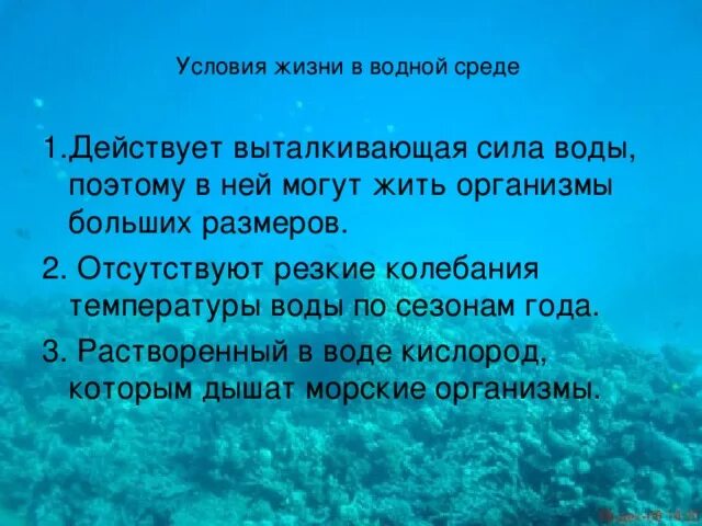 Условия водной среды. Условия жизни в водной среде. Водные условия жизни. Условия жизни в водной среде кратко. Колебания температуры в водной среде обитания