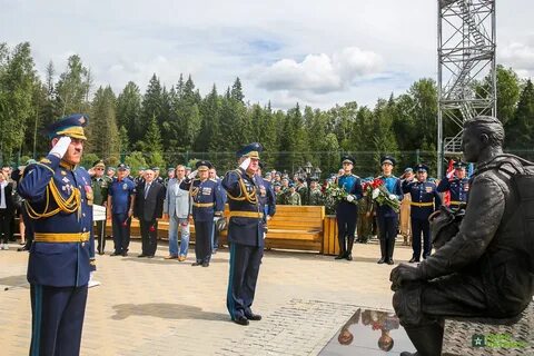 Вася парок