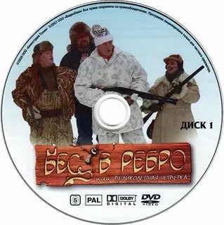 Бес в ребро дзен