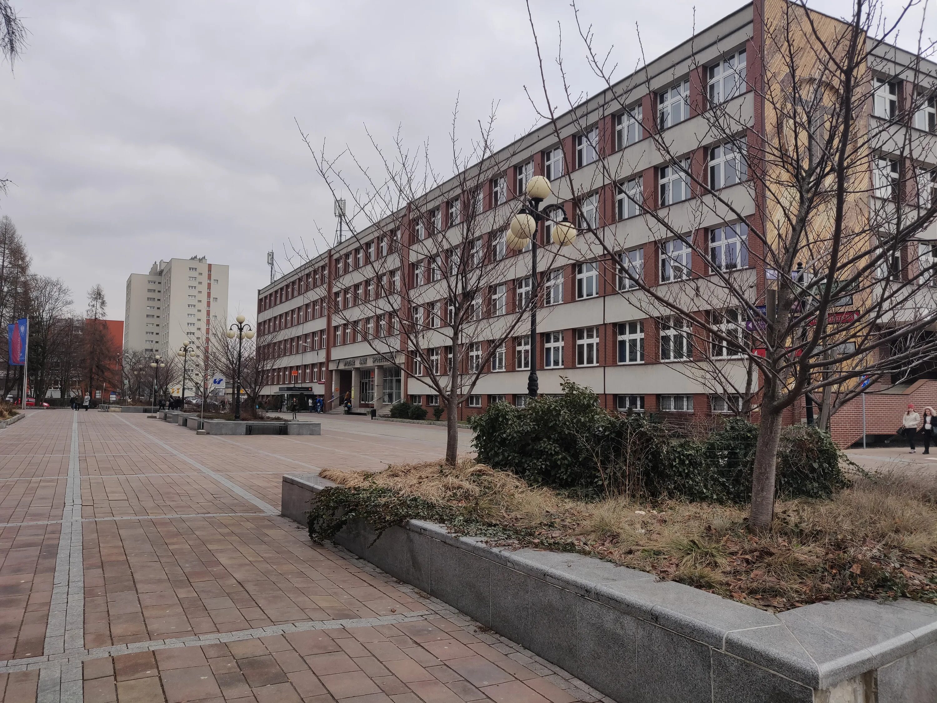 колледж нечеловеческих