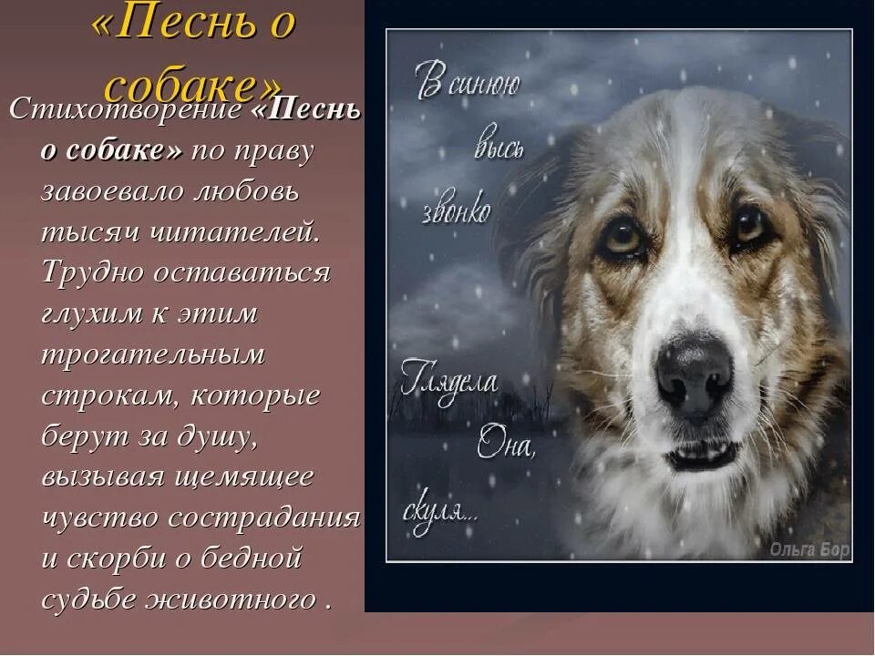 Песня моя собака где то дороже тебя. Стихотворение песнь о собаке. Стихотворение Сергея Есенина песнь о собаке.