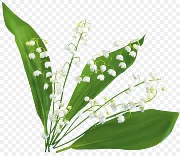 Картинки весны для детей на прозрачном фоне