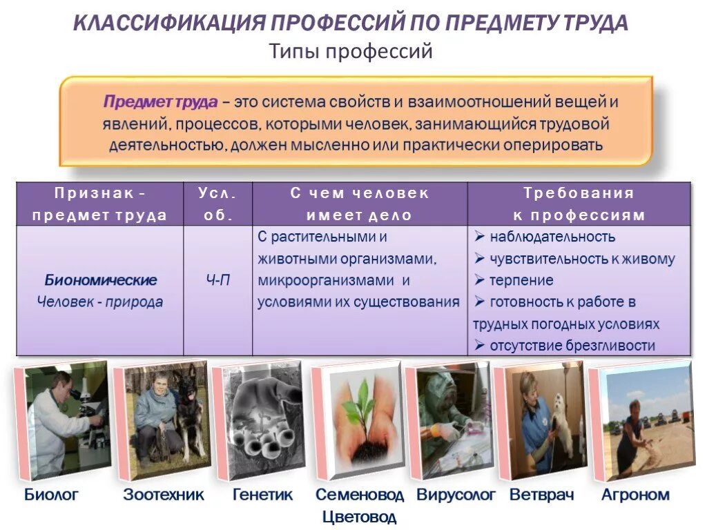 Профессии по предметам которые нравятся. Классификация профессий. Виды классификации профессий. Классификация профессий по предмету труда типы профессий. Классификация профессий по предмету труда человек-человек.