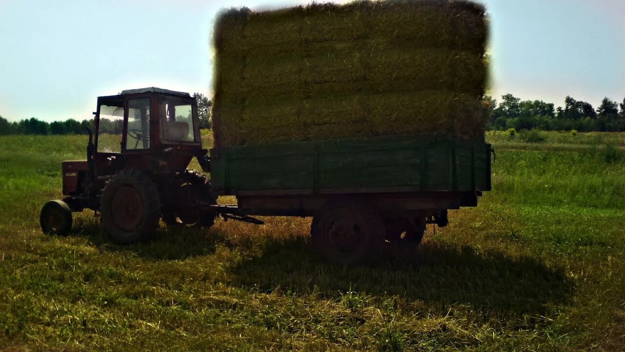 Т 25 трактор тюкует сено. Прицеп подборщик сена для т-25. Подборщик сена для трактора т 25. Подборщик сена для трактора т 150.