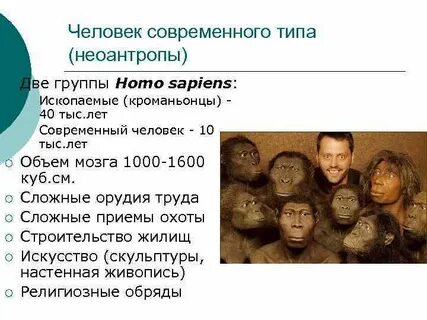 Особенности строения и образ жизни неоантропы