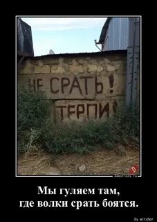 Гуляй там гуляй