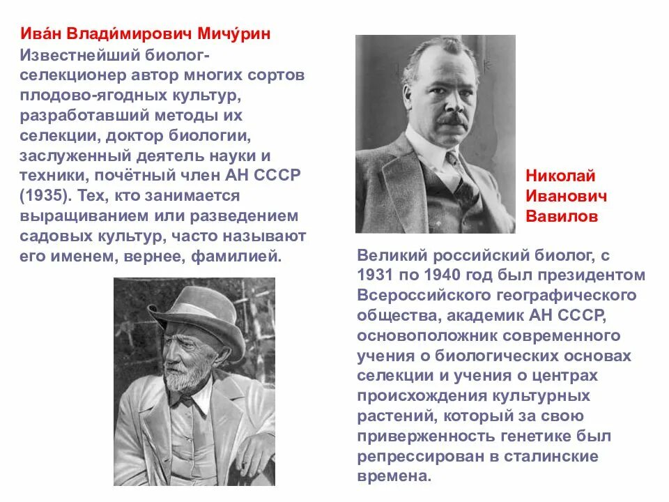 Сообщение вклад отечественных ученых