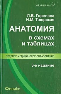 Дело терапия