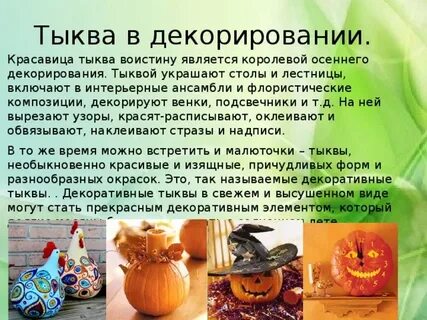 Происхождение тыквы