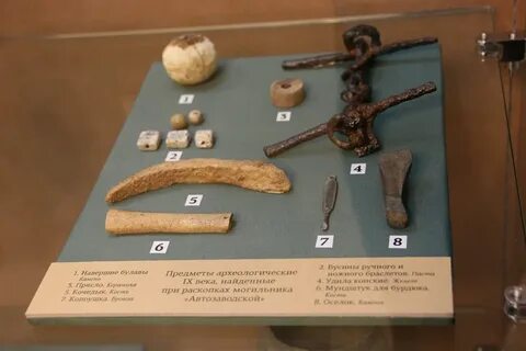 Краеведческий музей археологические находки рисунки