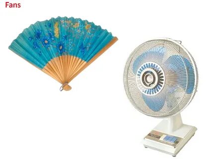 Fan с английского на русский