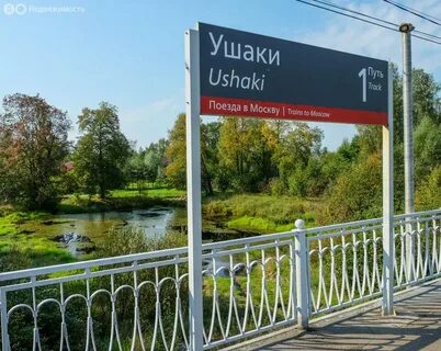 Ушаки ленинградская