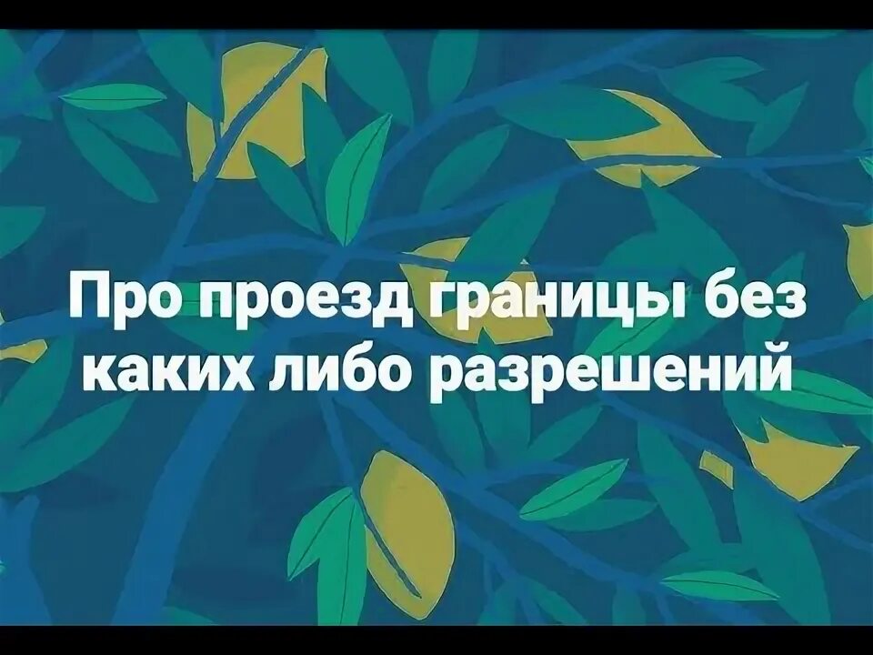 Проезд к границе и обратно. Проезд к границе и обратно