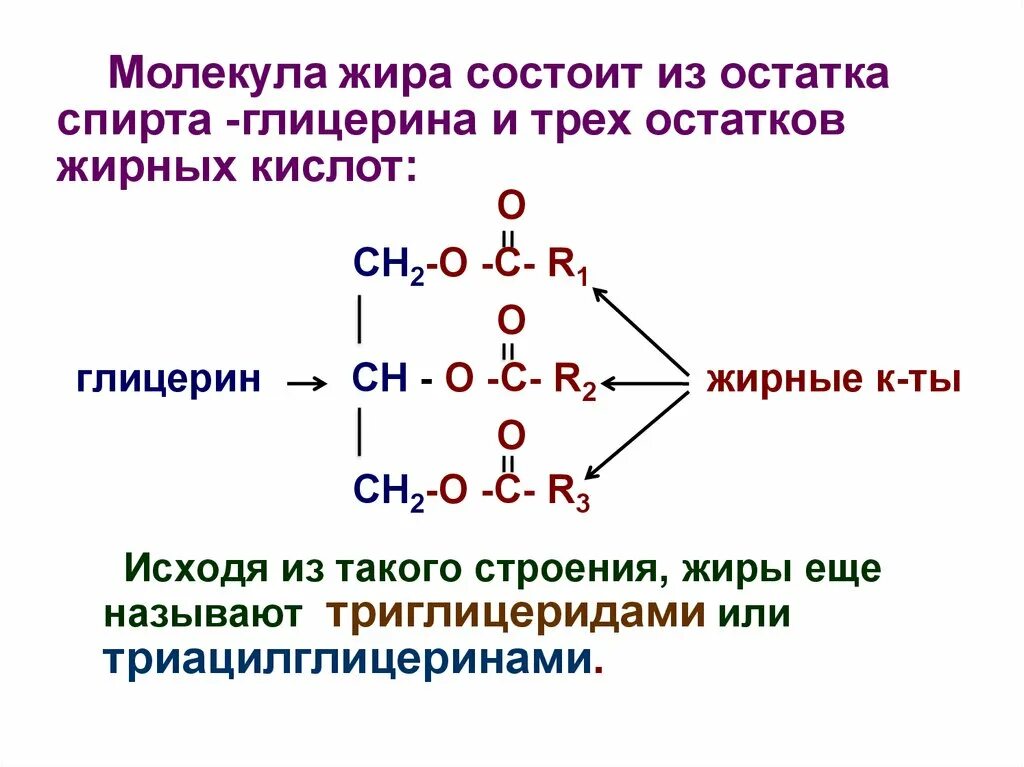 Какой остаток входит в состав жира. Жиры состоят из глицерина и жирных кислот. Схема молекулы жира. Строение жиров жирные кислоты глицерин. Состав молекулы жира.